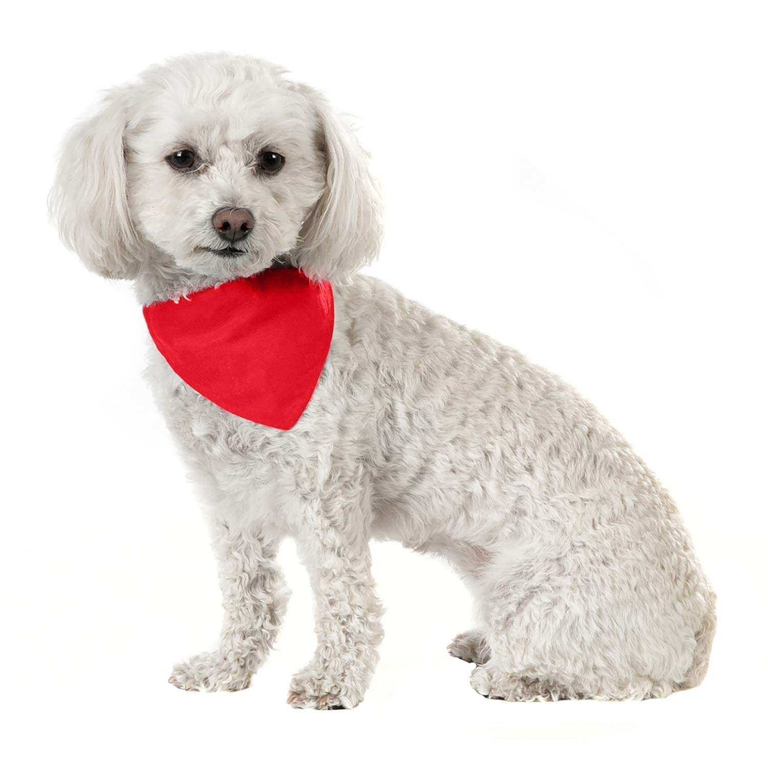 10 Pack Solid Cotton Dog Bandanas - Triangle Bibs for Small & Medium Pets (Red) | Comfortable & Stylish Pet Accessories for Daily Walks, Grooming & Photo Shoots