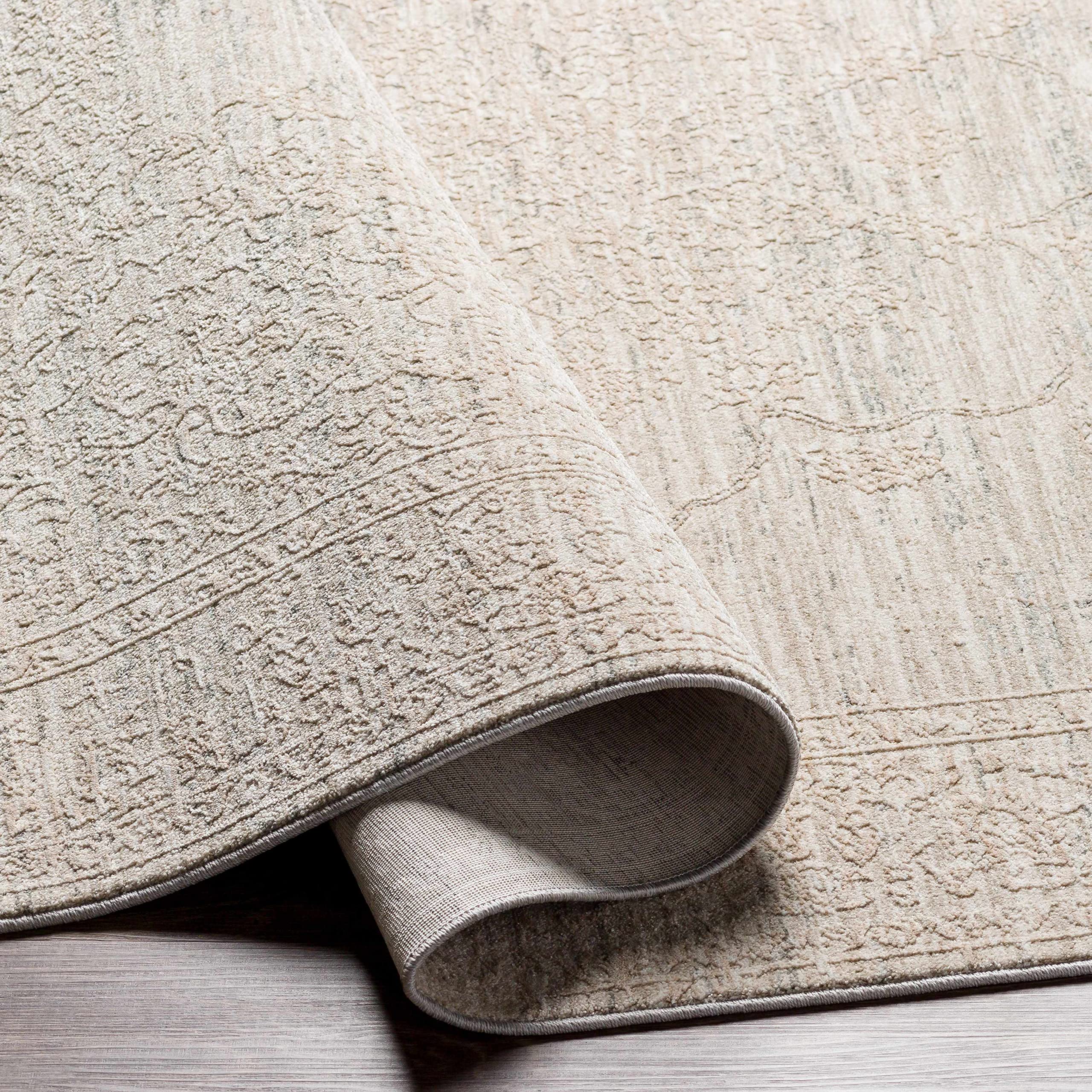 Hauteloom Monto Traditional Gray Beige Area Rug 9' x 12'2