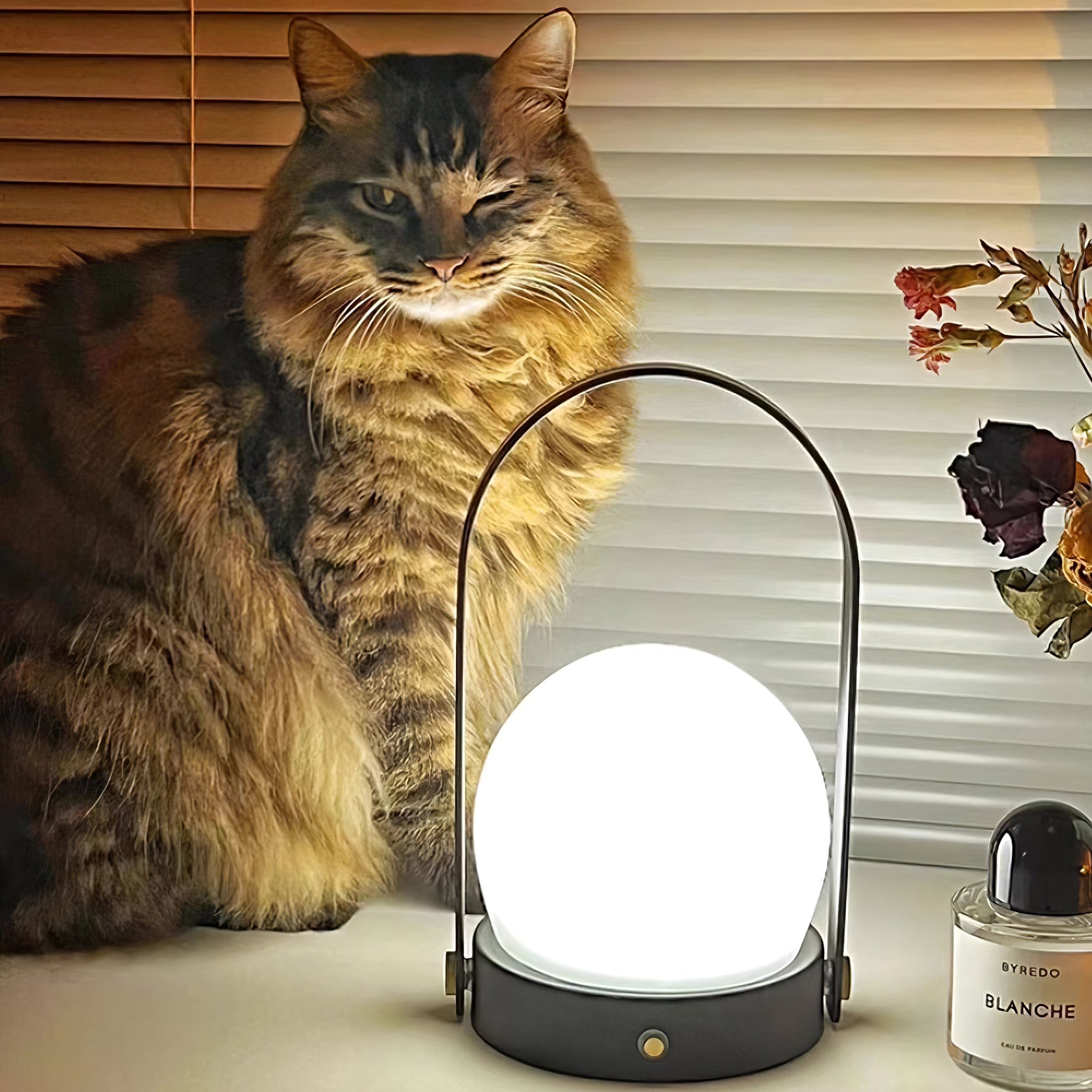 Carrie Rechargeable LED Table Lamp with Built-in Battery - Perfect for Bedroom, Living Room, and Office Lighting