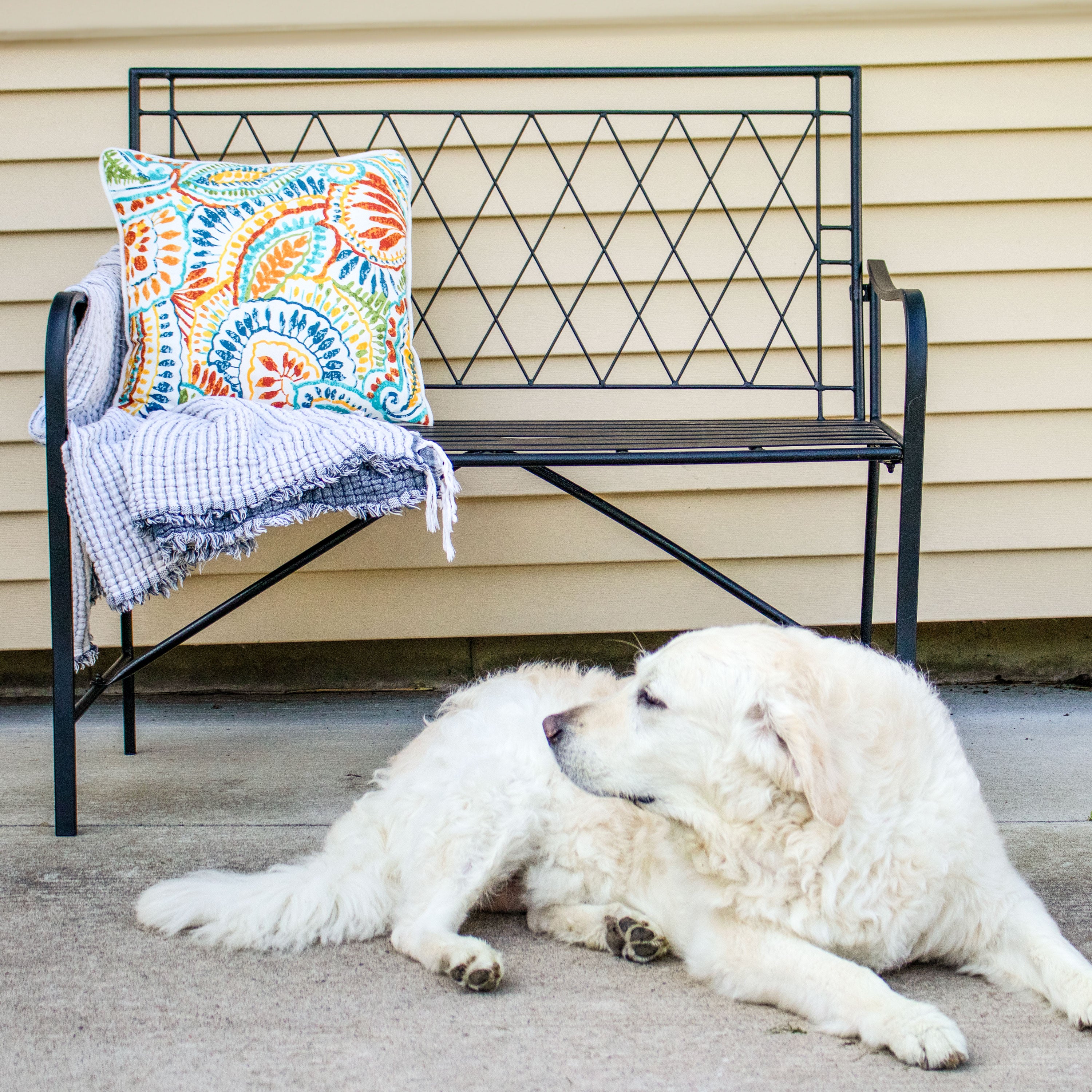 Sunnydaze Argyle Diamond Iron Outdoor Patio Bench - Heavy Duty Black Metal Garden Bench for Patio, Lawn, Backyard & Porch Decor