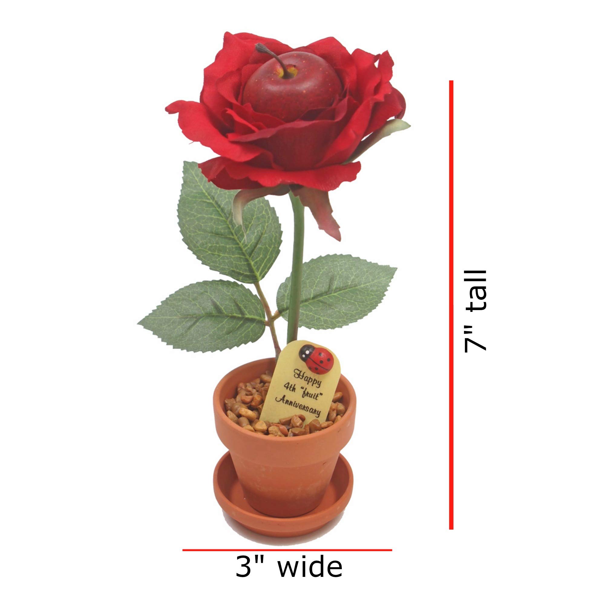 JustPaperRoses 4th Year Fruit Wedding Anniversary Gift - Romantic Paper Roses for 1st to 20th, 25th & 50th Anniversary Celebrations - Perfect for Couples, Home Decor & Romantic Surprises