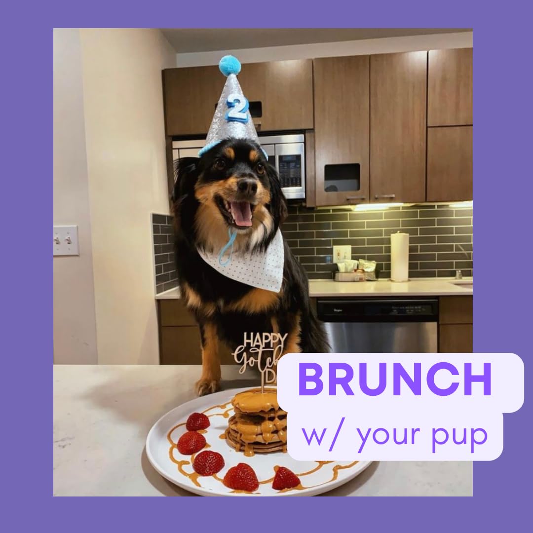 Superberry Snoot BUDDY BUDDER + POOCH PANCAKES - All-Natural Dog Pancake & Waffle Mix for Treats, Birthdays & Special Occasions - Made in USA - Perfect for Dog Parties, Training Rewards & Homemade Dog Treats