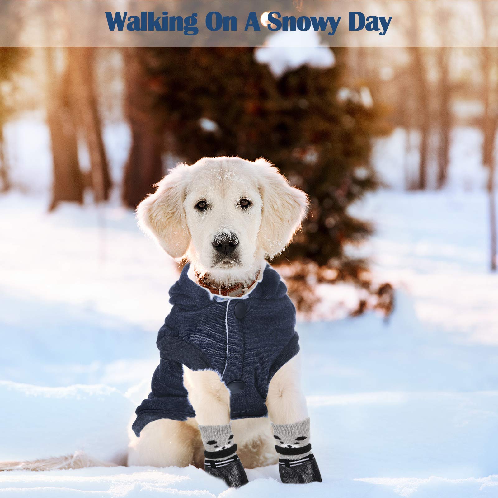 Waterproof Hooded Dog Coat & Boots Set - Warm Puppy Jacket with Non-Slip Shoes for Small Dogs (Navy Blue, Large) - Perfect for Winter Walks, Rainy Days & Outdoor Adventures