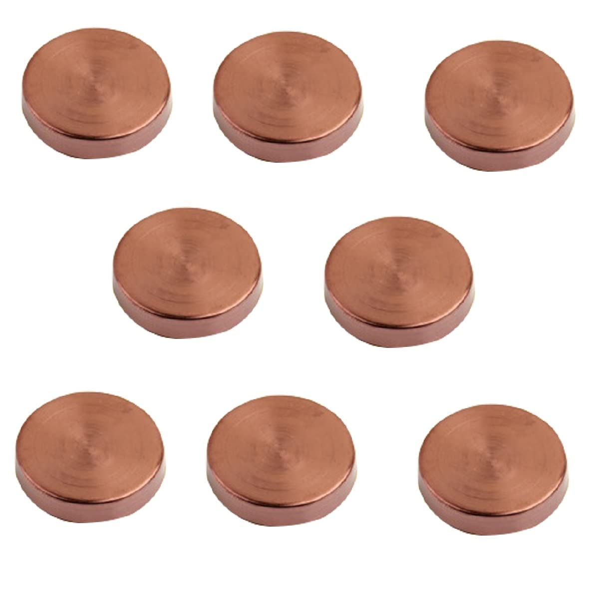 8PCS 304 Stainless Steel Mirror Screws - 16mm Rose Gold Decorative Cap Nails for Signage, Advertising & Home Decor (Perfect for Wall Mirrors, Name Plates & Retail Displays)