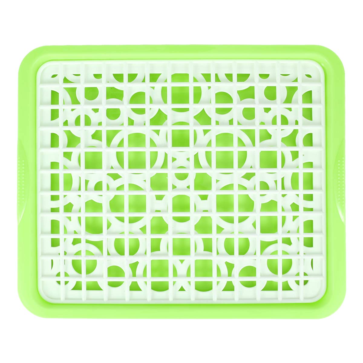 Cabilock 1-Piece Plastic Fruit & Vegetable Draining Tray - Square Green Snack Plate with Water Drain Holes for Kitchen Counter, Picnics & Parties