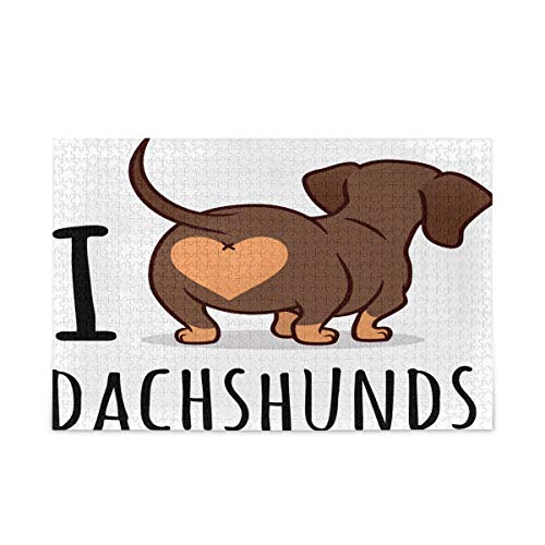 Cute Dachshund Dog
