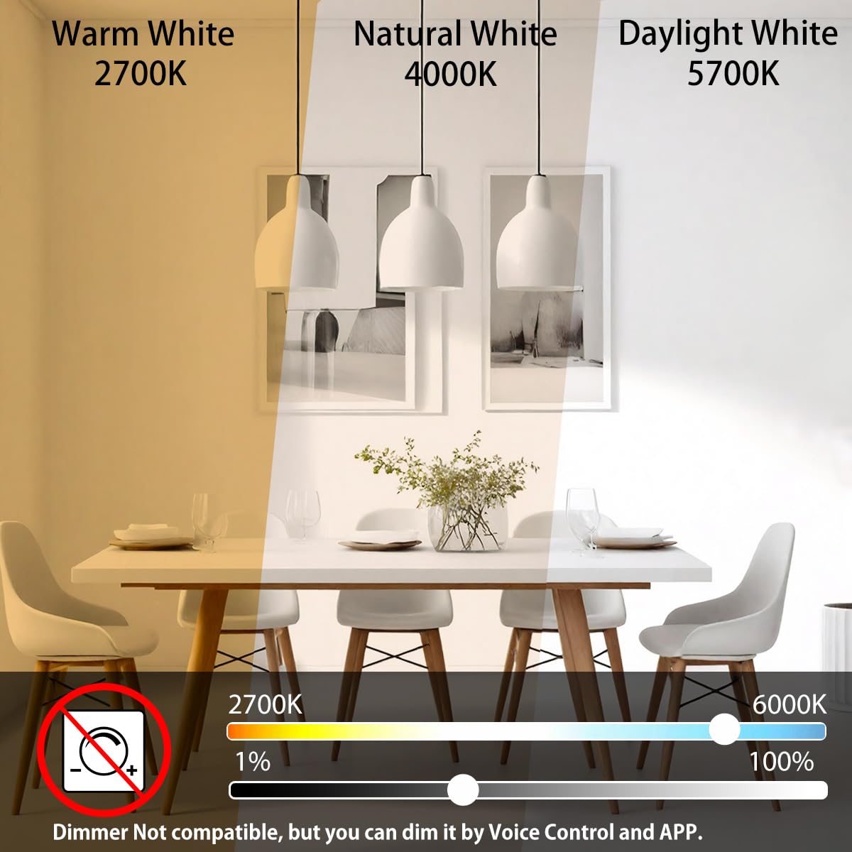 ILC G120 LED Large Globe Light Bulbs 15W (2 Pack) - Alexa Compatible, 150W Equivalent, 2700K-6000K Adjustable Color Temperature, E26 Base, CRI>95+ - Perfect for Living Room, Bedroom, or Smart Home Lighting