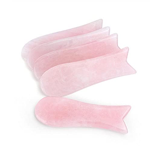 5pcs Fish