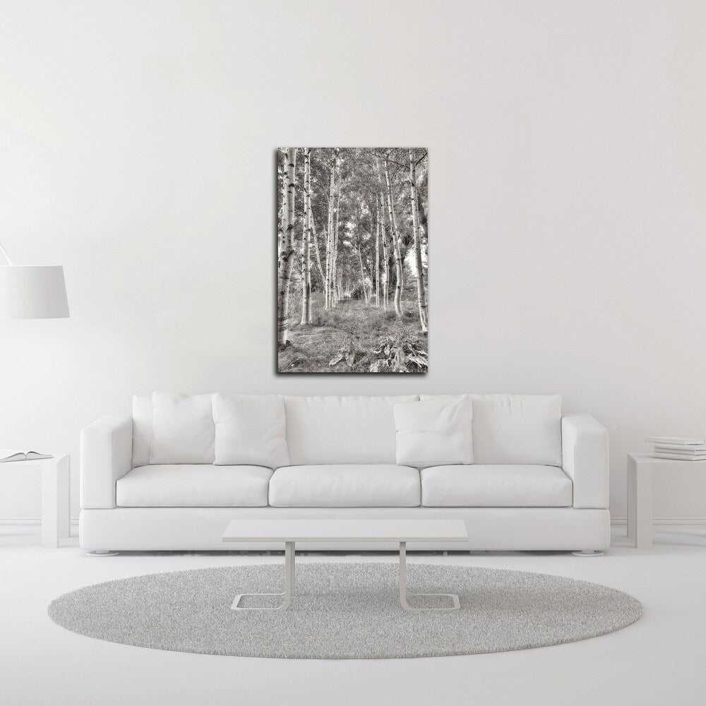 Alan Blaustein Birch Trees No.3 Canvas Art Print - Stretched & Ready to Hang - Nature Landscape Wall Decor for Living Room, Bedroom & Office
