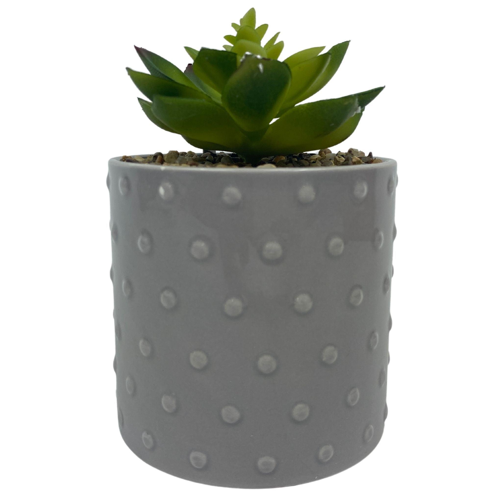 40 Pcs Grey Dotted Ceramic Plant Pots for Succulents - Small Decorative Flower Pots for Indoor Plants, Home Garden Decor, Office Desk Decorations