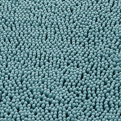 Teal Blue