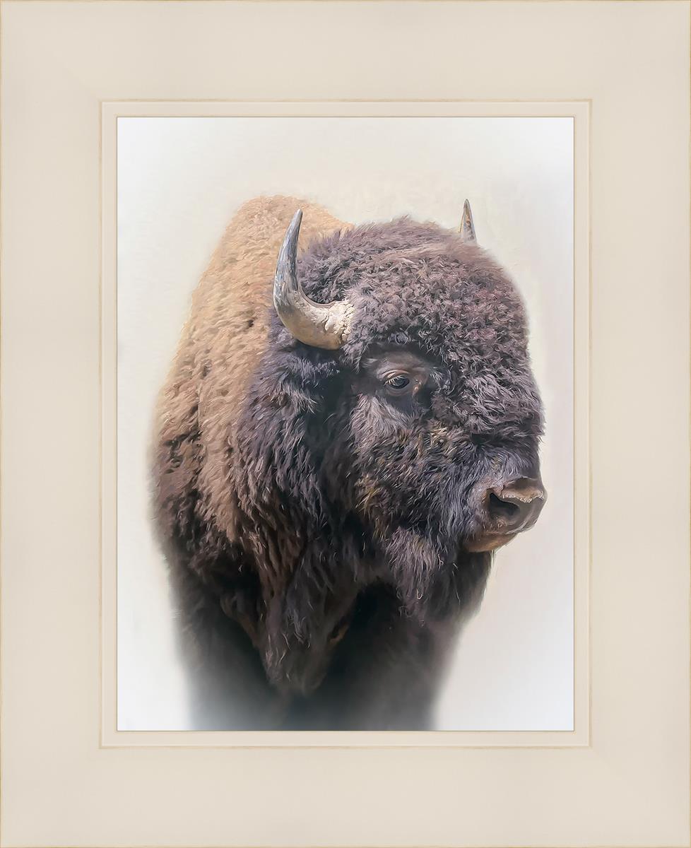 Bison By Matthew Grant | Premium Bison Meat & Jerky | High-Protein Snacks for Camping, Hiking & Outdoor Adventures