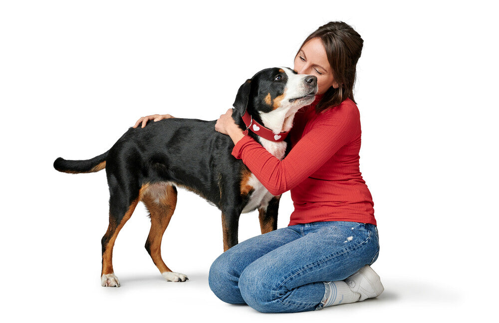 Alpen LOVE Dog Collars for Small & Medium Breeds - Adjustable, Durable & Stylish Pet Collar for Daily Walks & Outdoor Adventures