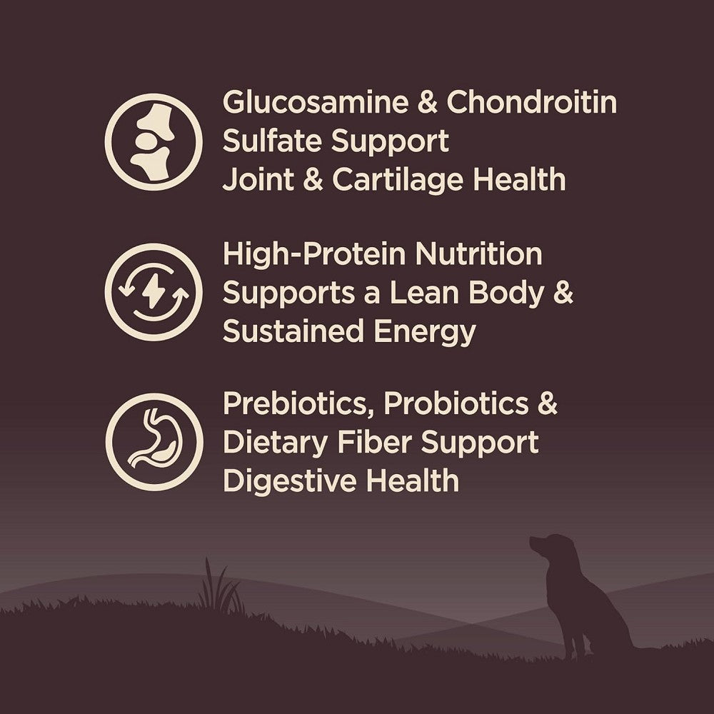 Premium CORE Turkey Dry Dog Food for Adult Dogs 7+ Years - High Protein, Grain-Free Recipe for Senior Canine Health - Ideal for Aging Dogs with Sensitive Stomachs