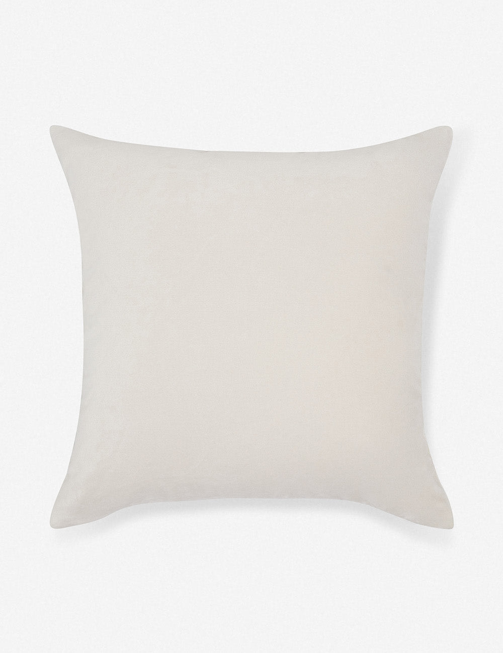 Charlotte Velvet Pillow - Soft Luxury Decorative Throw Pillow for Sofa, Bed & Couch - Perfect for Living Room, Bedroom & Home Decor
