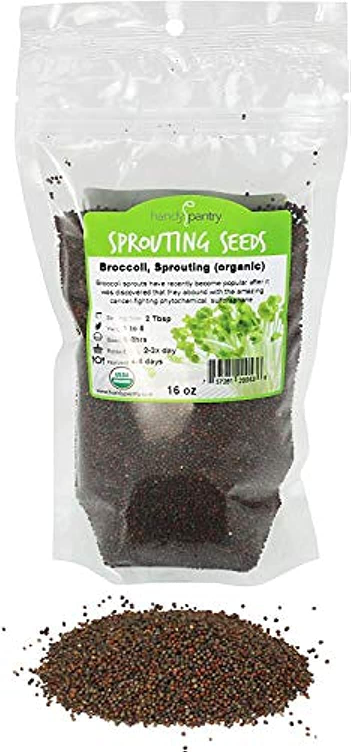 Organic Non-GMO Broccoli Sprouting Seeds - 1 Lb Pack for Microgreens & Sulforaphane-Rich Sprouts | Perfect for Healthy Salads, Juices & Superfood Smoothies