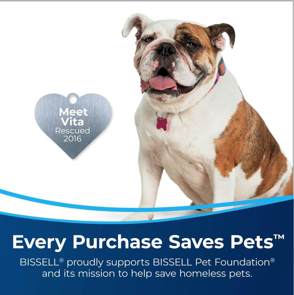 Bissell Little Green Pet Pro Portable Carpet Cleaner for Pet Stains - Compact Upholstery & Carpet Cleaner Machine - Ideal for Home, Cars, Sofas (Model 2891, Cobalt Blue)