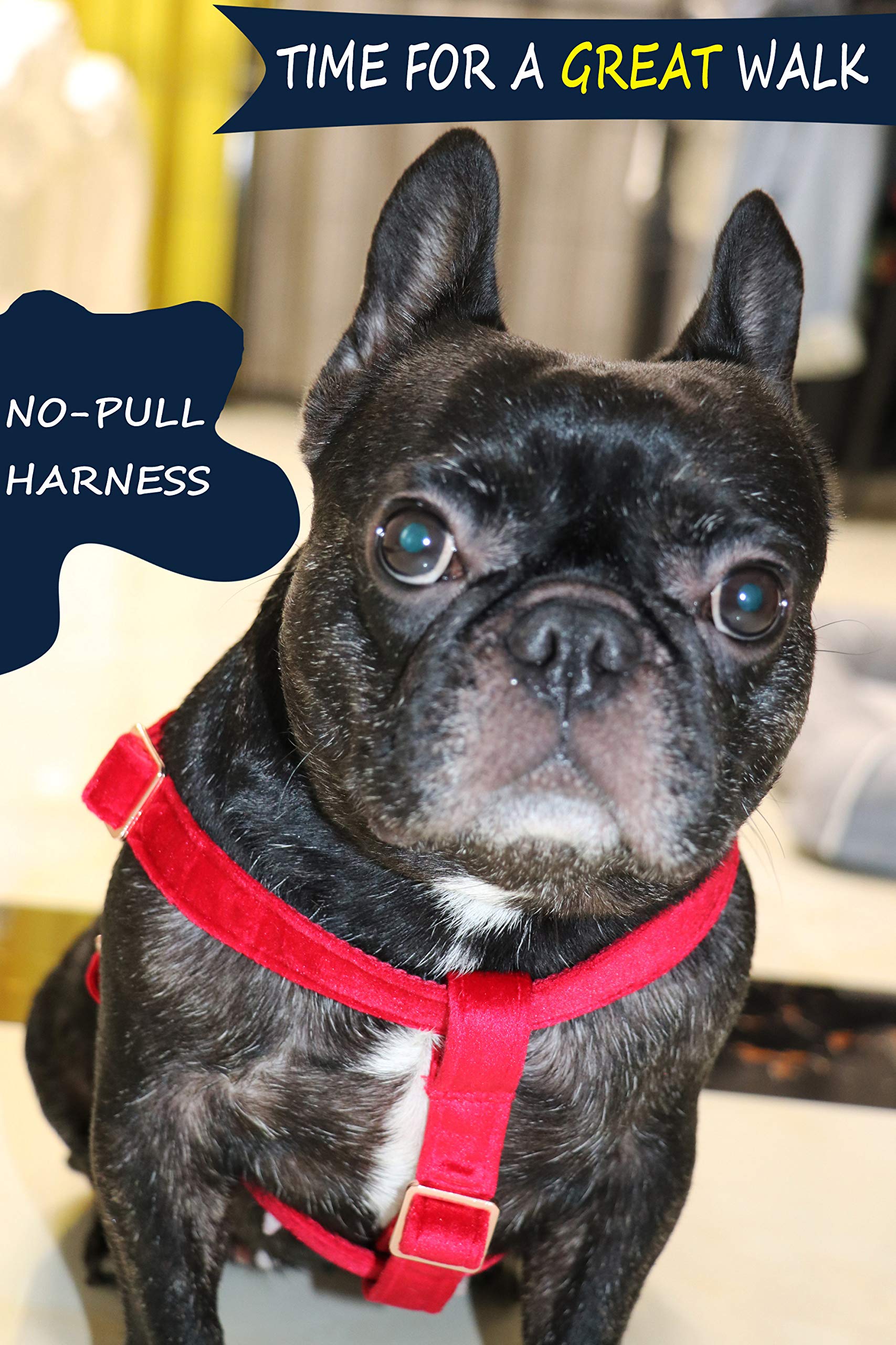 ARING PET No Pull Dog Harness - Velvet Adjustable Heavy Duty Vest for Small, Medium & Large Dogs - Perfect for Walking, Training & Outdoor Adventures