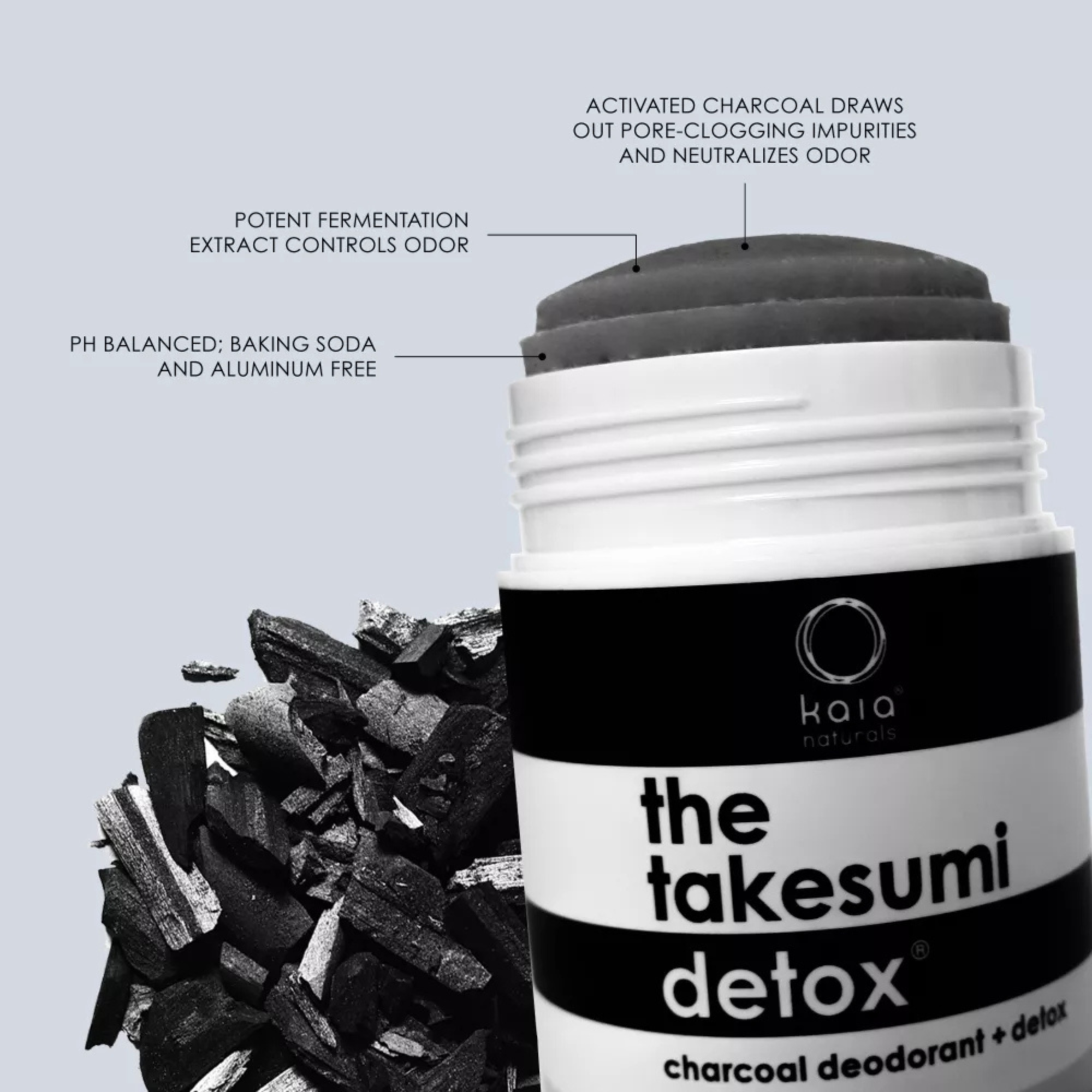 The Takesumi Detox - Premium Activated Charcoal Supplement for Cleansing & Digestion | Nordic Frost | Supports Detox, Bloating Relief & Gut Health | Ideal for Post-Meal, Travel & Wellness Routines