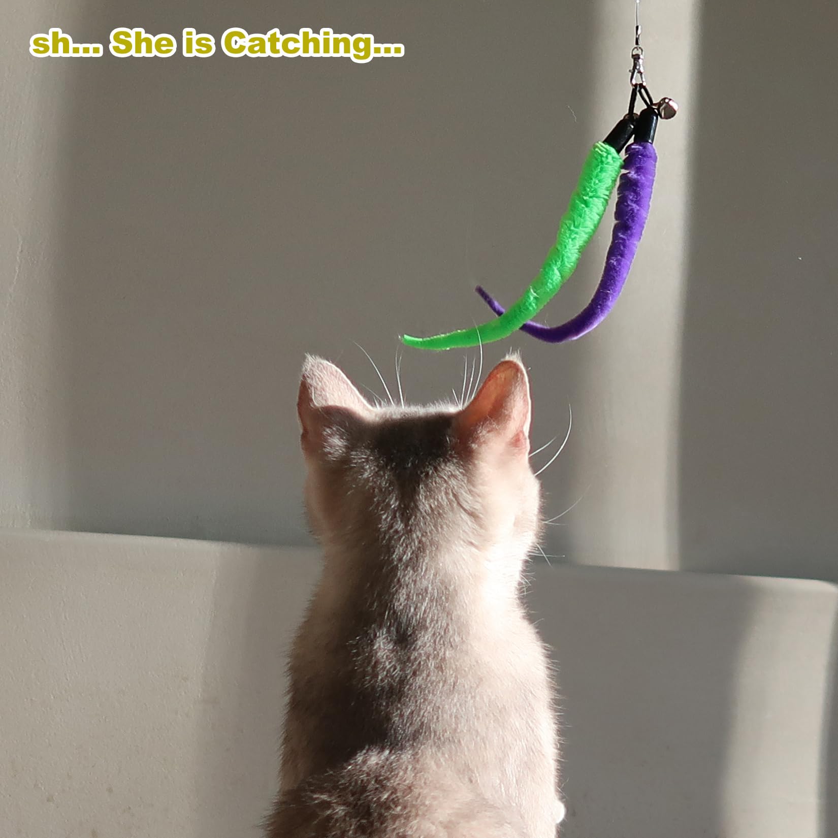 10PCS Cat Worm Toy Set with Feather Attachments & Black String - Interactive Teaser Wand Replacement for Indoor Cats & Kittens - Perfect for Playtime, Exercise, and Bonding with Your Feline Friend