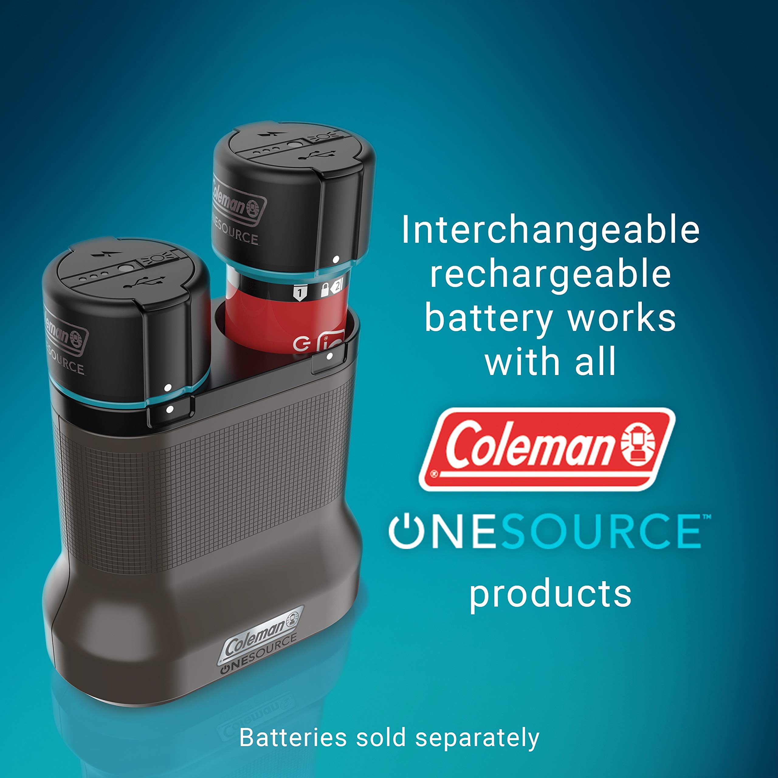 ONESOURCE 2-Slot Battery Charger C004 - Fast & Reliable Charging for AA/AAA Batteries - Perfect for Home, Office, and Travel Use