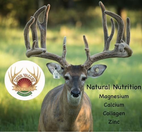 Premium Deer Antler Dog Chews (Large 3 Pack, 6-7 Inches) - Natural, Long-Lasting Dog Chew Toy for Medium to Large Breeds - Ethically-Sourced & Irresistible - Perfect for Teething, Dental Health & Aggressive Chewers