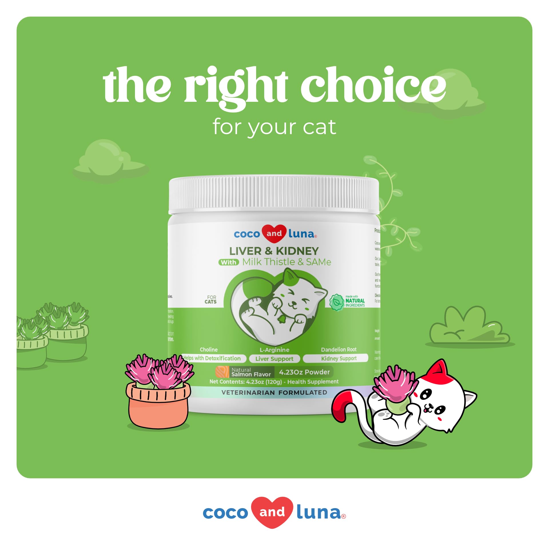 Organic Milk Thistle Powder for Cats - 4oz Natural Liver & Kidney Support Supplement with SAMe & L-Arginine - Detox & Hepatic Function Aid - Promotes Healthy Liver for Senior Cats & Pets with Liver Issues - Perfect for Daily Wellness Routine & Post-Medication Recovery
