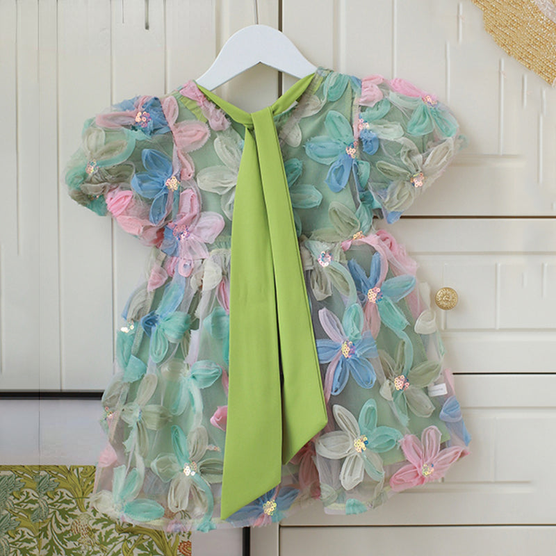 Elegant Baby Flower Embroidered Mesh Princess Dress for Toddlers | Pageant Gown | Perfect for Birthday Parties, Photo Shoots & Special Occasions