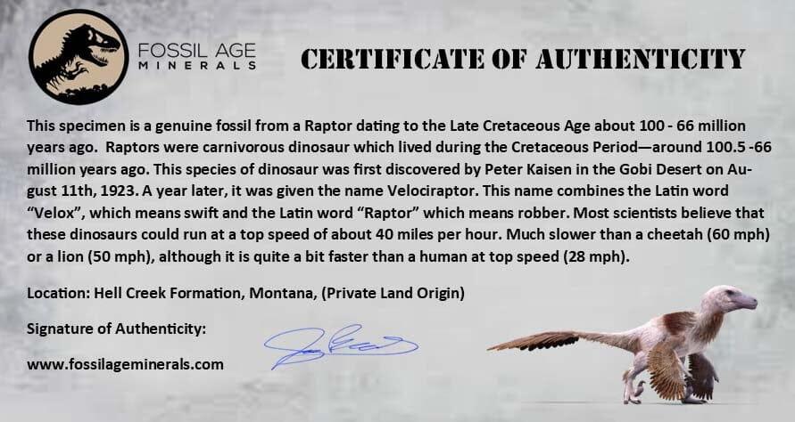 Authentic 0.5