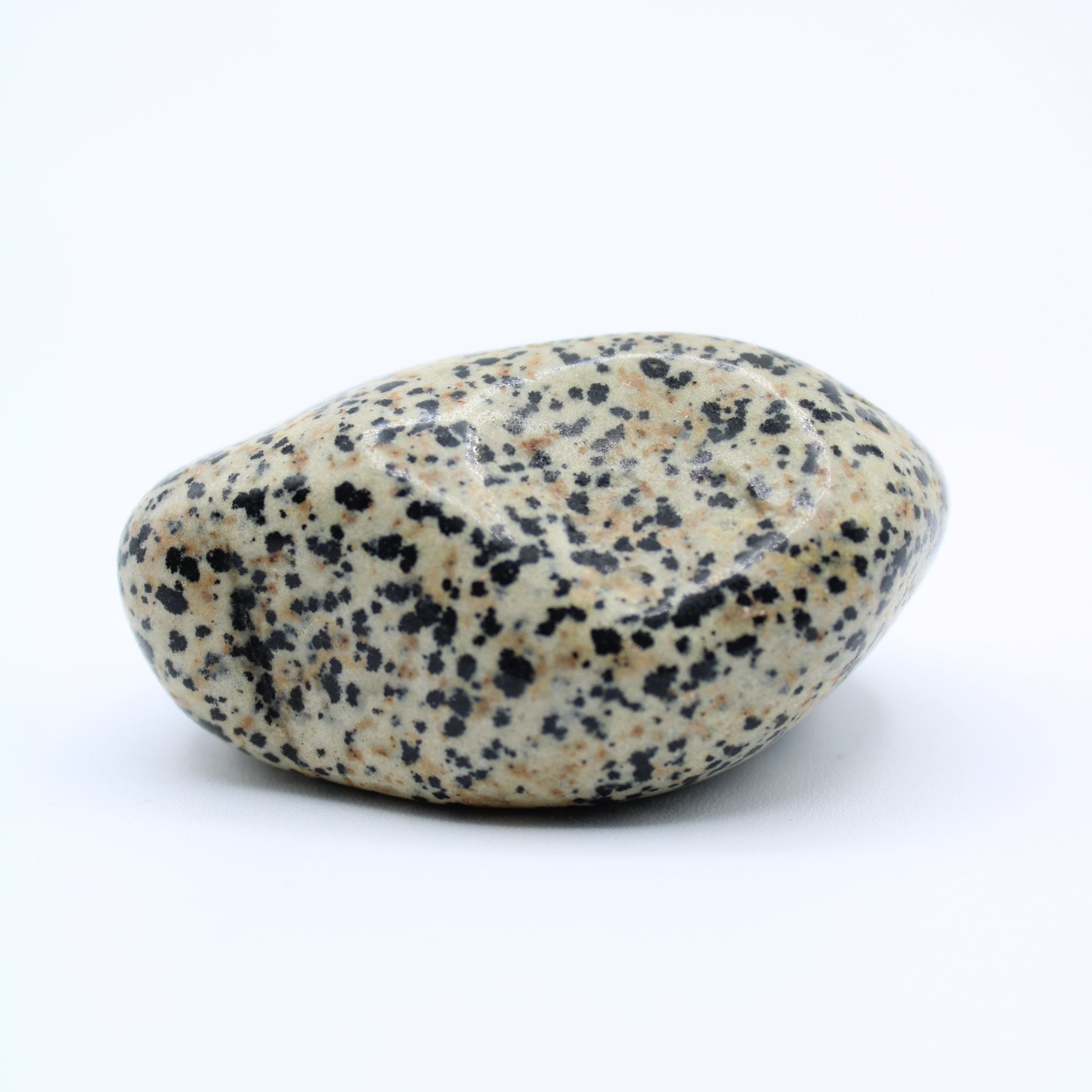 Natural Dalmatian Jasper Free Form Stone - Healing Crystal for Meditation, Home Decor & Spiritual Gifts | Perfect for Yoga, Reiki & Energy Work