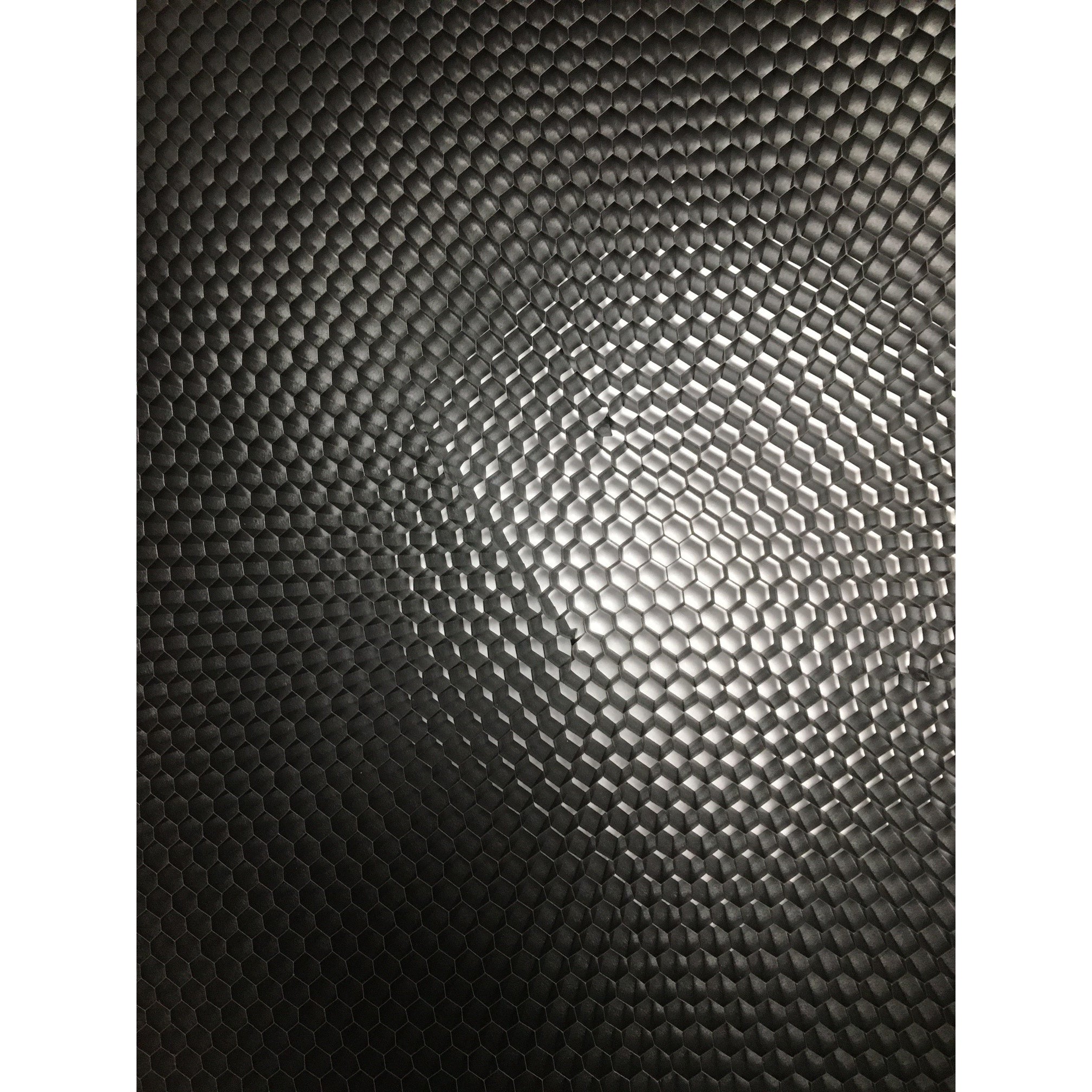 PIXAPRO 55cm Honeycomb Grid for Beauty Dish - Photography Light Modifier for Studio Portrait & Fashion Shoots (Grid Only)