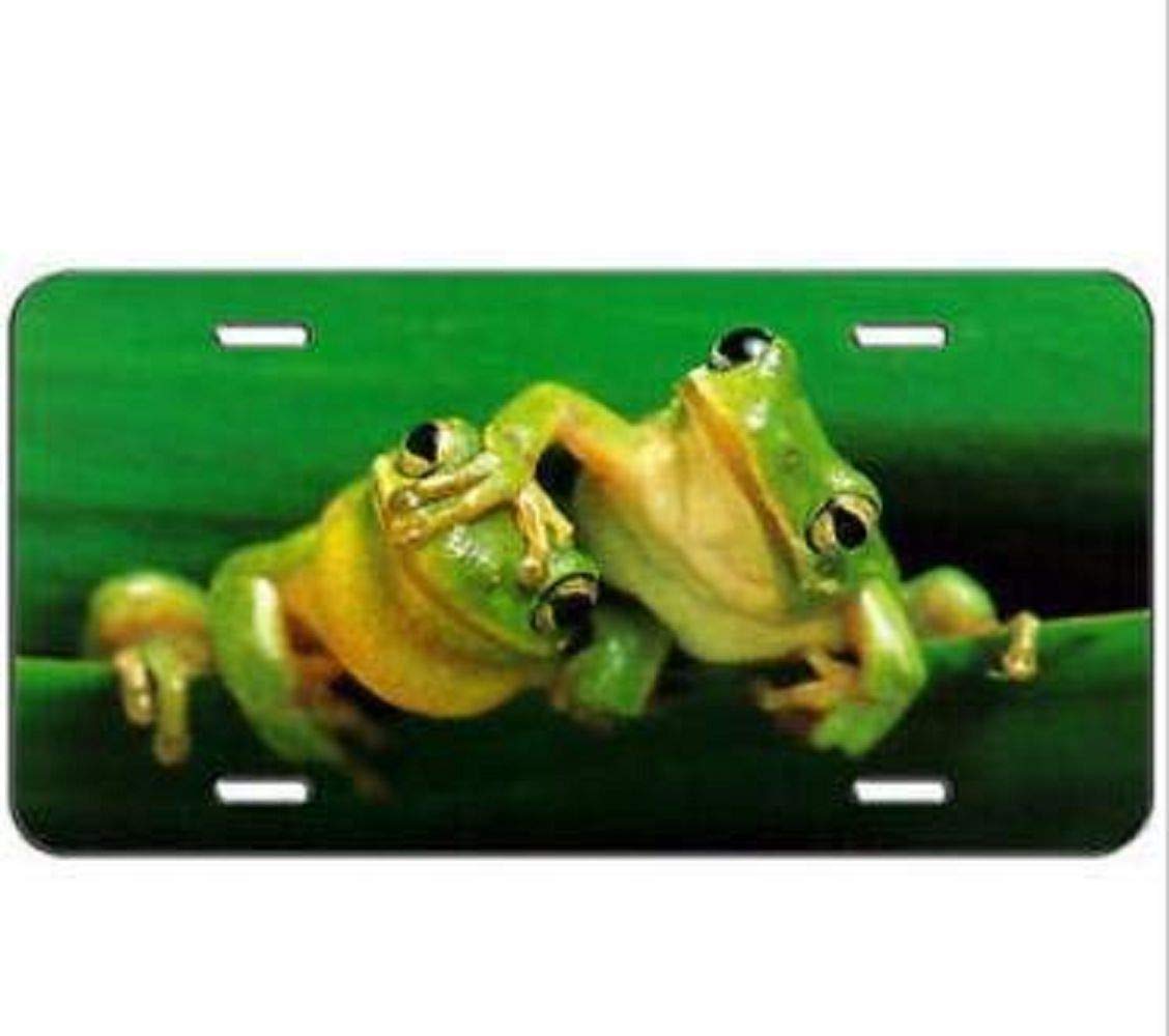 Tree Frog Love Novelty License Plate Cover - 6x12 Inch Decorative Front License Plate Tag Sign for Cars - Fun & Unique Car Accessories for Animal Lovers - Perfect for Jeep, SUV & Custom Vehicle Decoration