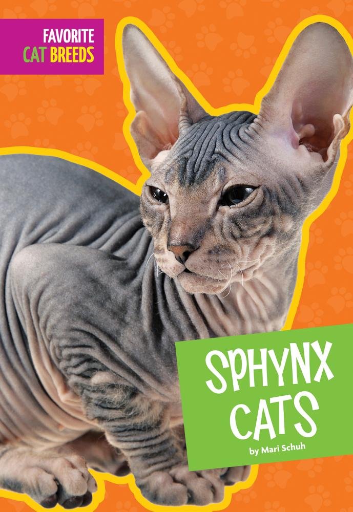 Hairless Sphynx Cats for Sale - Unique & Hypoallergenic Cat Breed for Pet Lovers | Perfect for Allergy Sufferers & Indoor Companionship