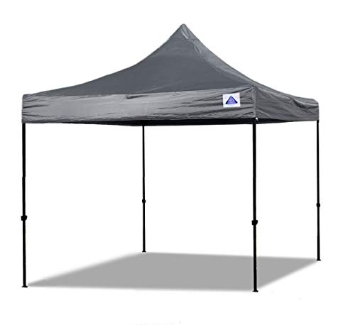 10'x10' Grey ( DS Model)