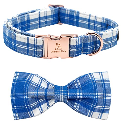 Blue Plaid