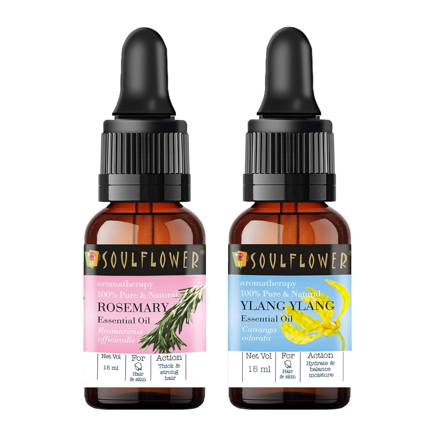 100% Pure Organic Rosemary & Ylang Ylang Essential Oil for Hair Growth & Skin Care | USDA Certified Undiluted | Pack of 2 x 15ml | Promotes Healthy Hair, Reduces Hair Fall & Nourishes Scalp | Perfect for Aromatherapy, Massage & DIY Beauty Recipes