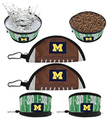 Michigan Wolverines