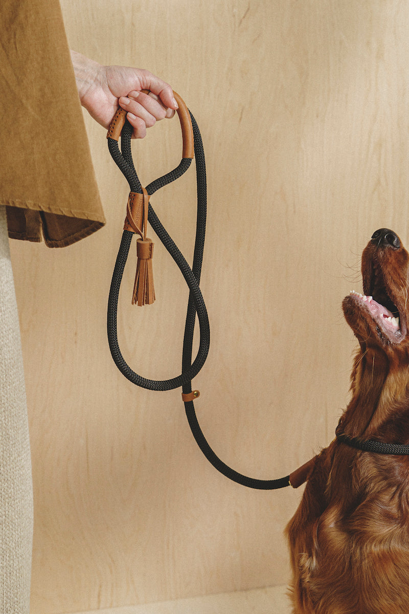 Premium Makarony Dark Rope Dog Leash and Ginger Collar Set - Durable Walking Kit for Small to Medium Dogs | Perfect for Daily Walks, Training, and Outdoor Adventures