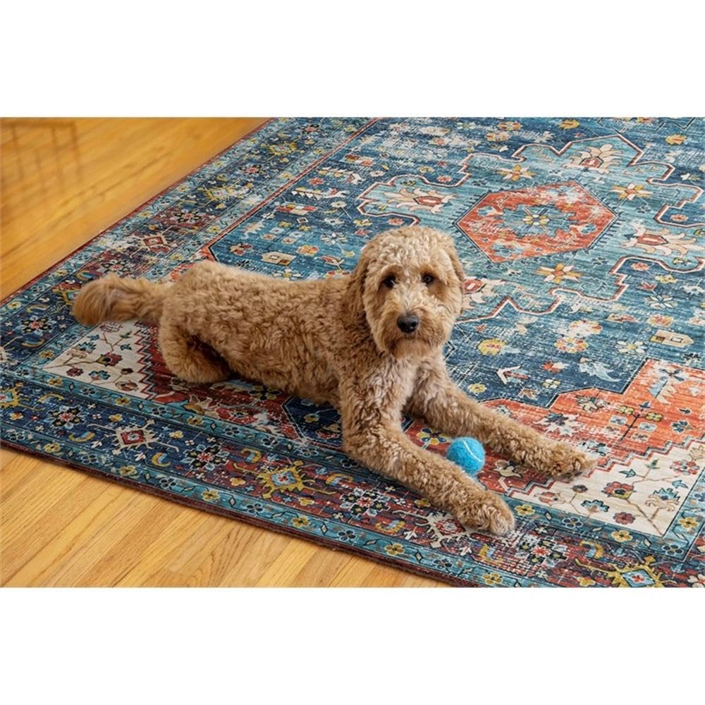 Linon Washable Langley Polyester 5'x7' Area Rug in Teal Blue - Soft & Durable Living Room Rug for Bedroom, Office, or Entryway Decor