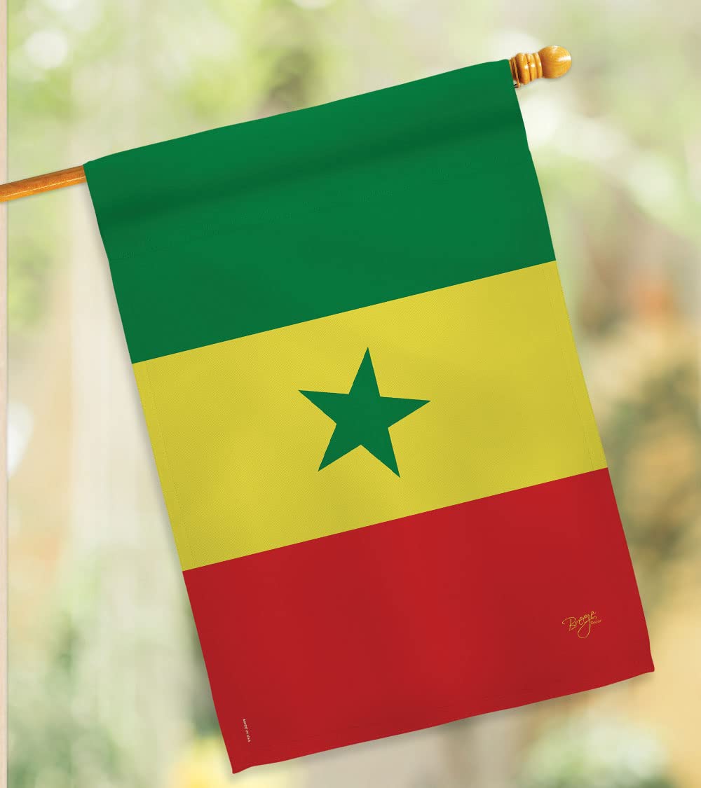 Senegal National Flag Set 28x40in w/Pole - Home & Garden Decor