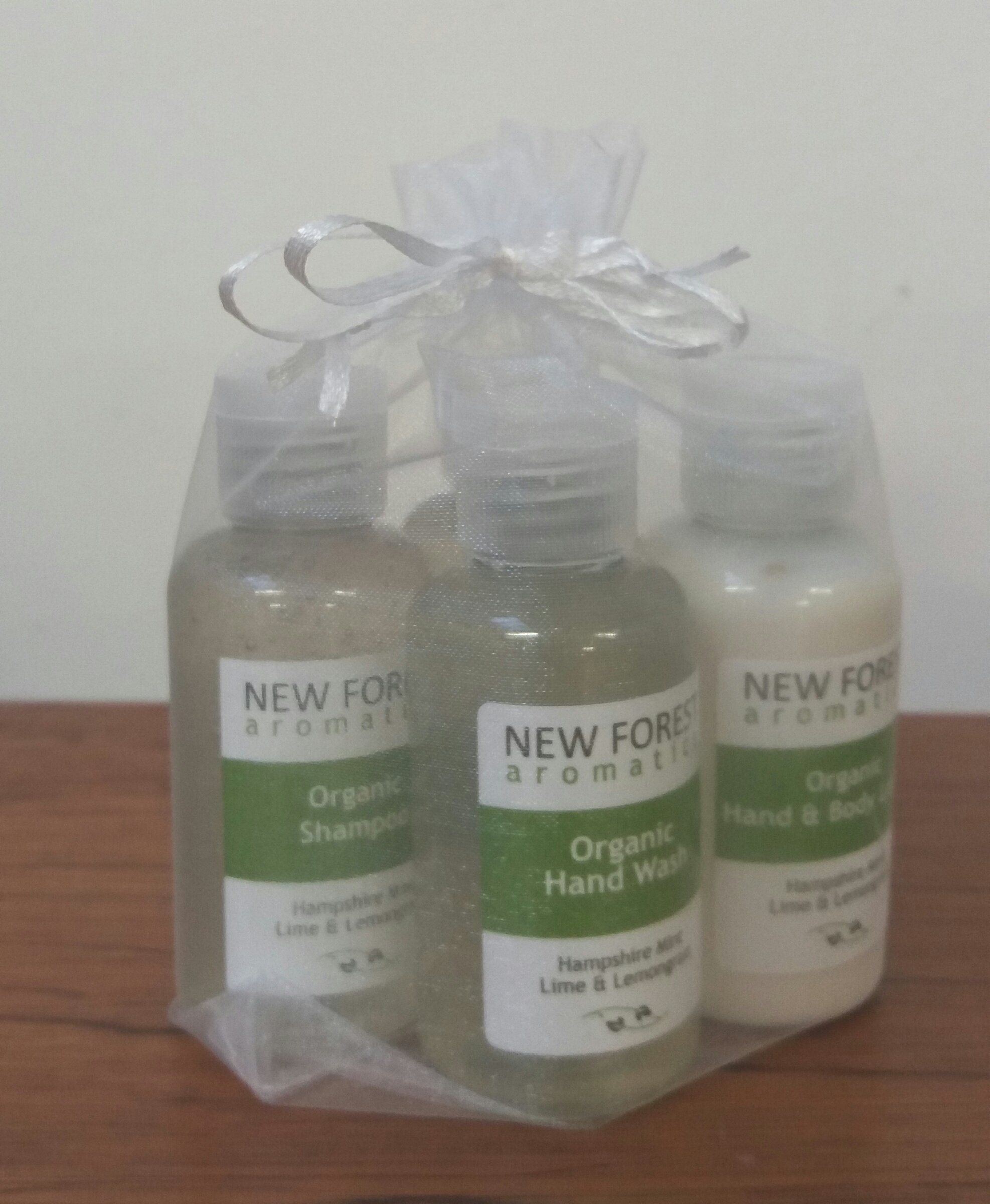 Organic Mini Travel Set - 4-in-1 Hair & Body Care Kit for Women & Men | TSA Approved Toiletries for Vacation, Gym, Camping & Business Trips