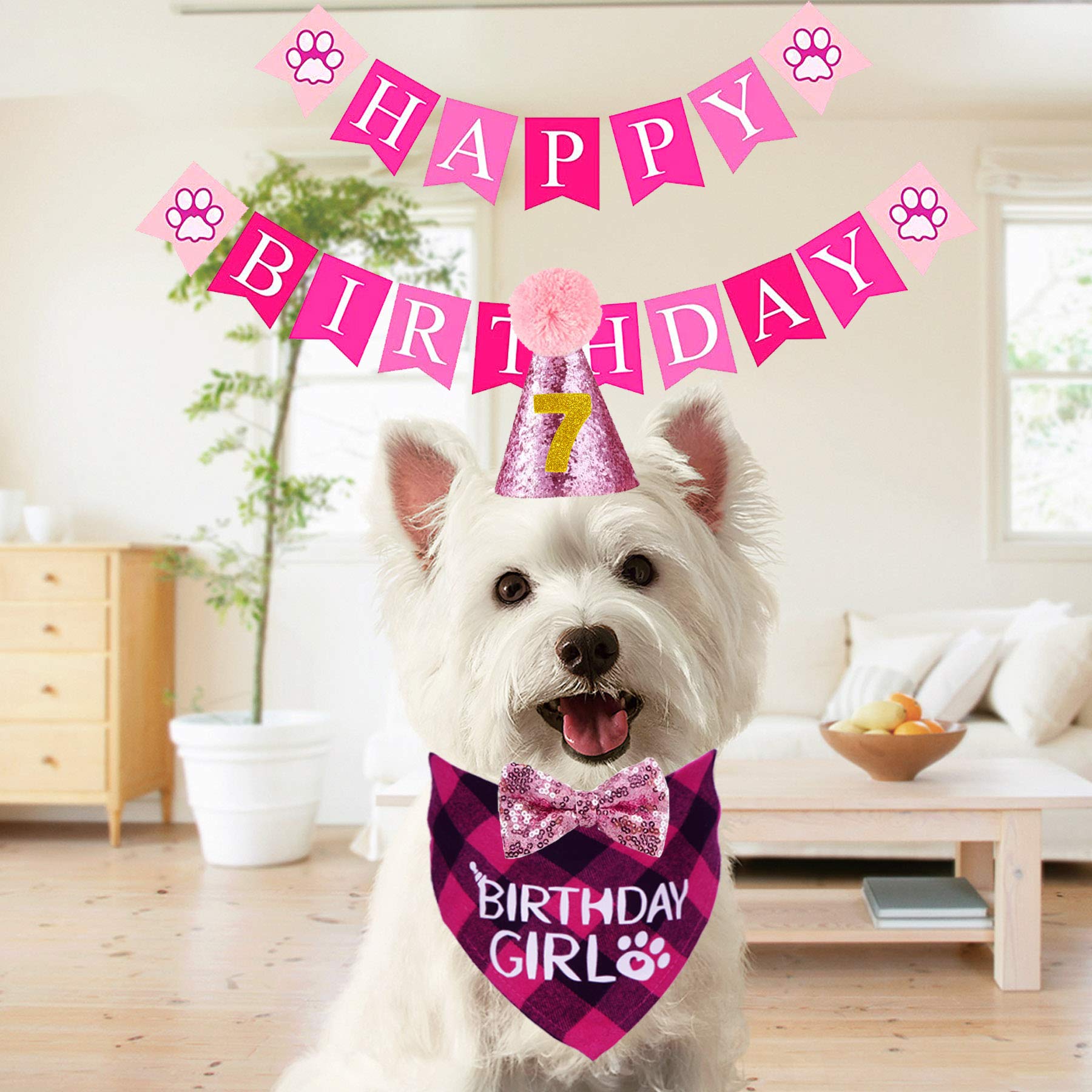 STMK Dog Birthday Bandana & Party Set - Cute Triangle Scarf with Number Hat & Bowtie for Birthday Celebrations | Perfect for Dog Birthday Parties, Photo Shoots & Special Occasions (Pink)