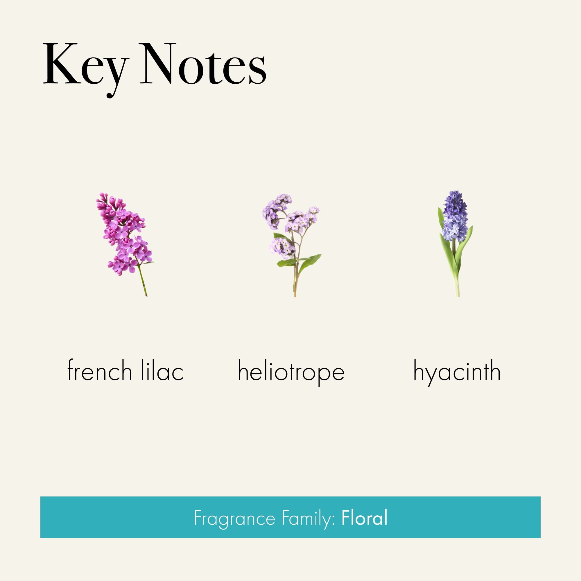LAFCO New York Signature Reed Diffuser - French Lilac Scent, 15 oz | Long-Lasting 9-Month Fragrance | Handcrafted Reusable Glass Vessel with Natural Wood Reeds | Made in USA | Perfect for Home, Office & Spa Aromatherapy