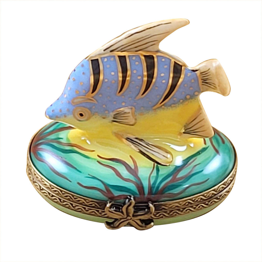 Exquisite Tropical Fish Limoges Porcelain Box - Hand-Painted Collectible Trinket Jewelry Storage - Perfect for Home Décor & Gift Giving