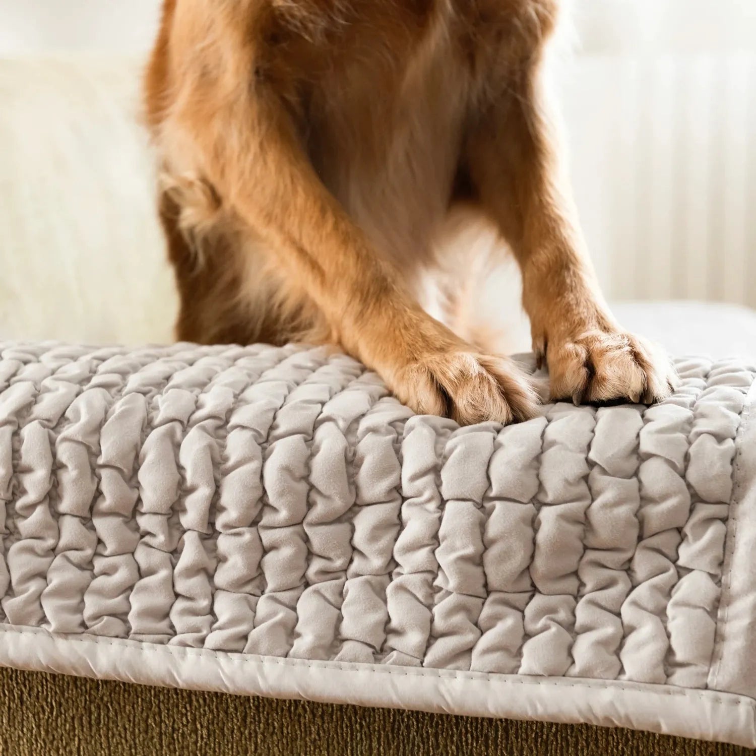 Waterproof Dog Blanket Armchair Cover - Soft Pet Bed Protector for Furniture, Washable & Non-Slip - Perfect for Sofas, Couches, and Recliners