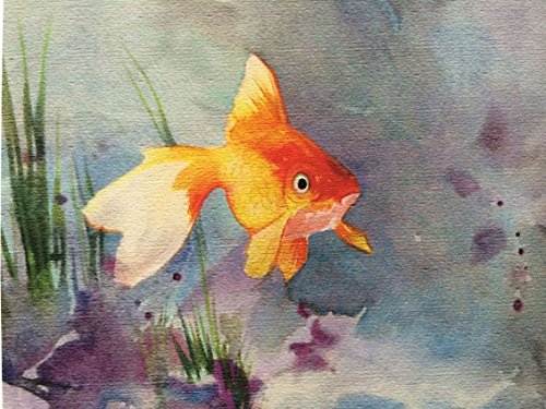 Goldfish Watercolor Art Print - Blue & Gold Giclee Wall Decor for Home, Office & Aquarium Themed Spaces