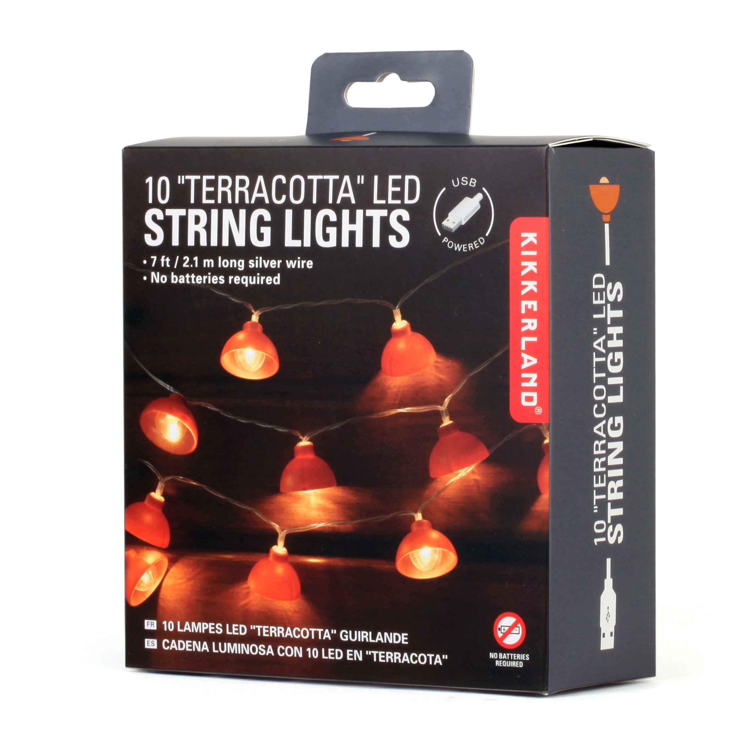 10 Ft Terracotta String Lights - Warm White LED Fairy Lights for Outdoor Patio, Garden, Wedding & Home Decor