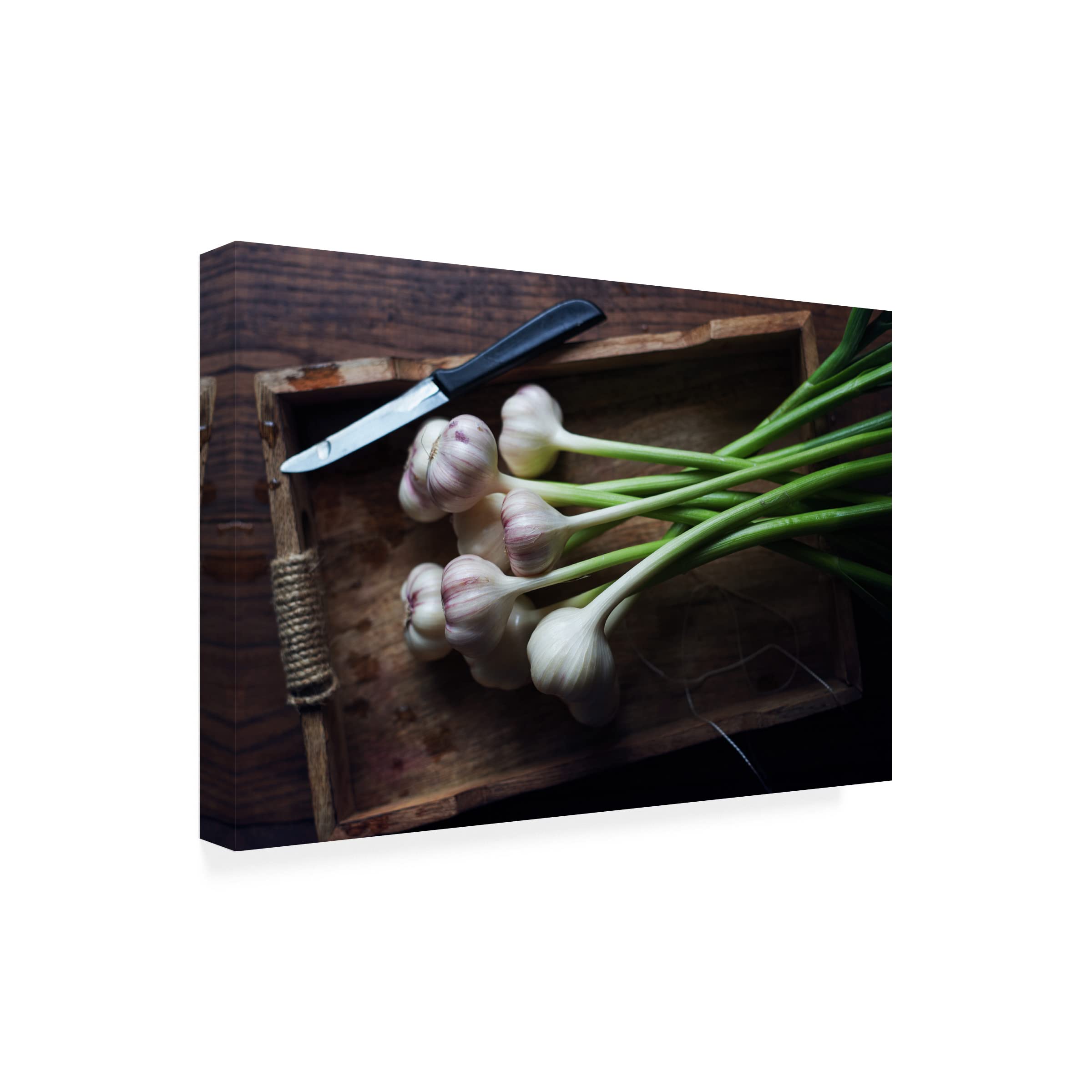 Trademark Fine Art 'Garlic' Canvas Wall Art Print by Aleksandrova Karina - Modern Kitchen Decor for Home & Restaurant