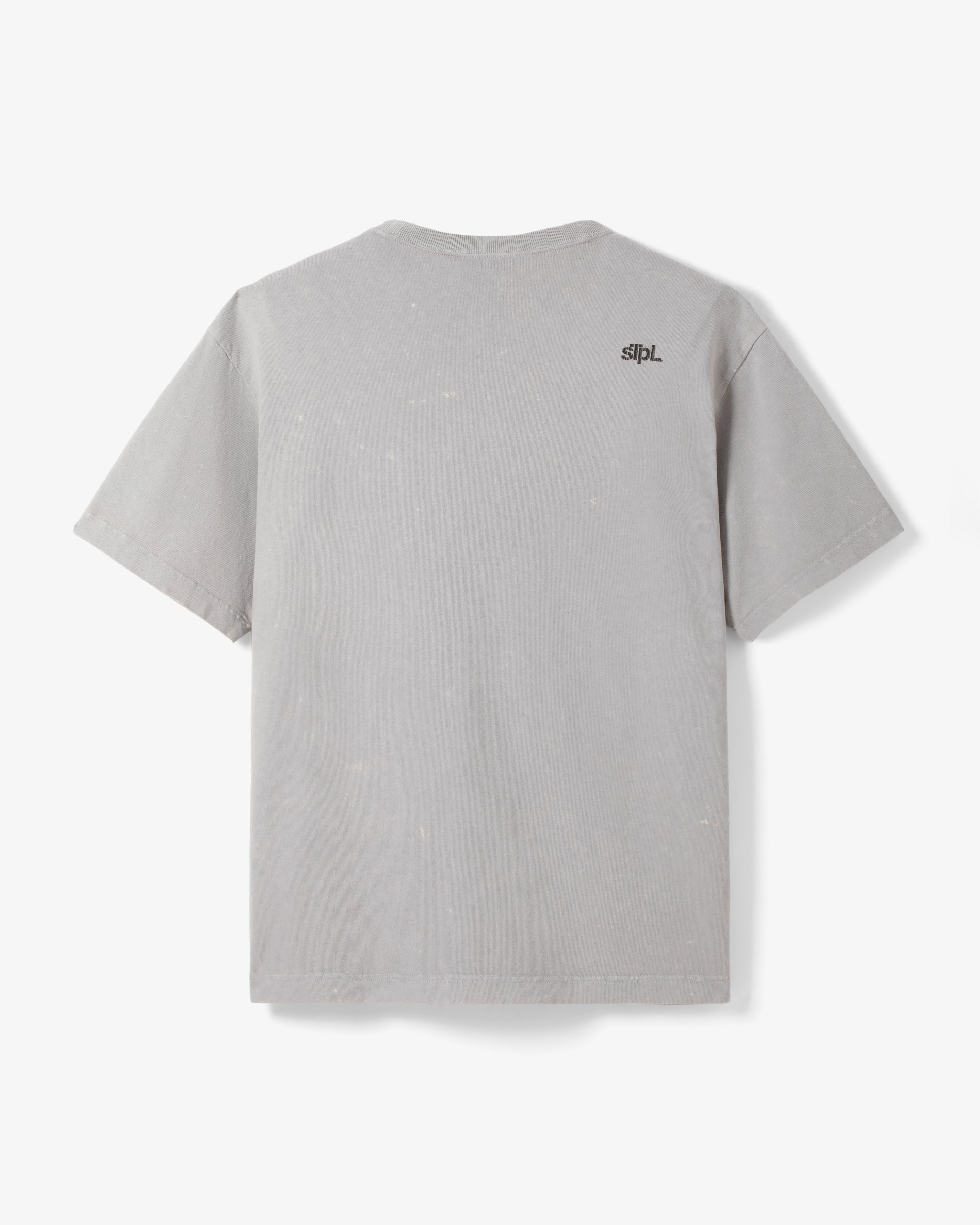 Standard Pigeon Graphic T-Shirt - Comfortable Cotton Crewneck Tee for Men & Women - Casual Streetwear for Everyday Wear & Urban Fashion