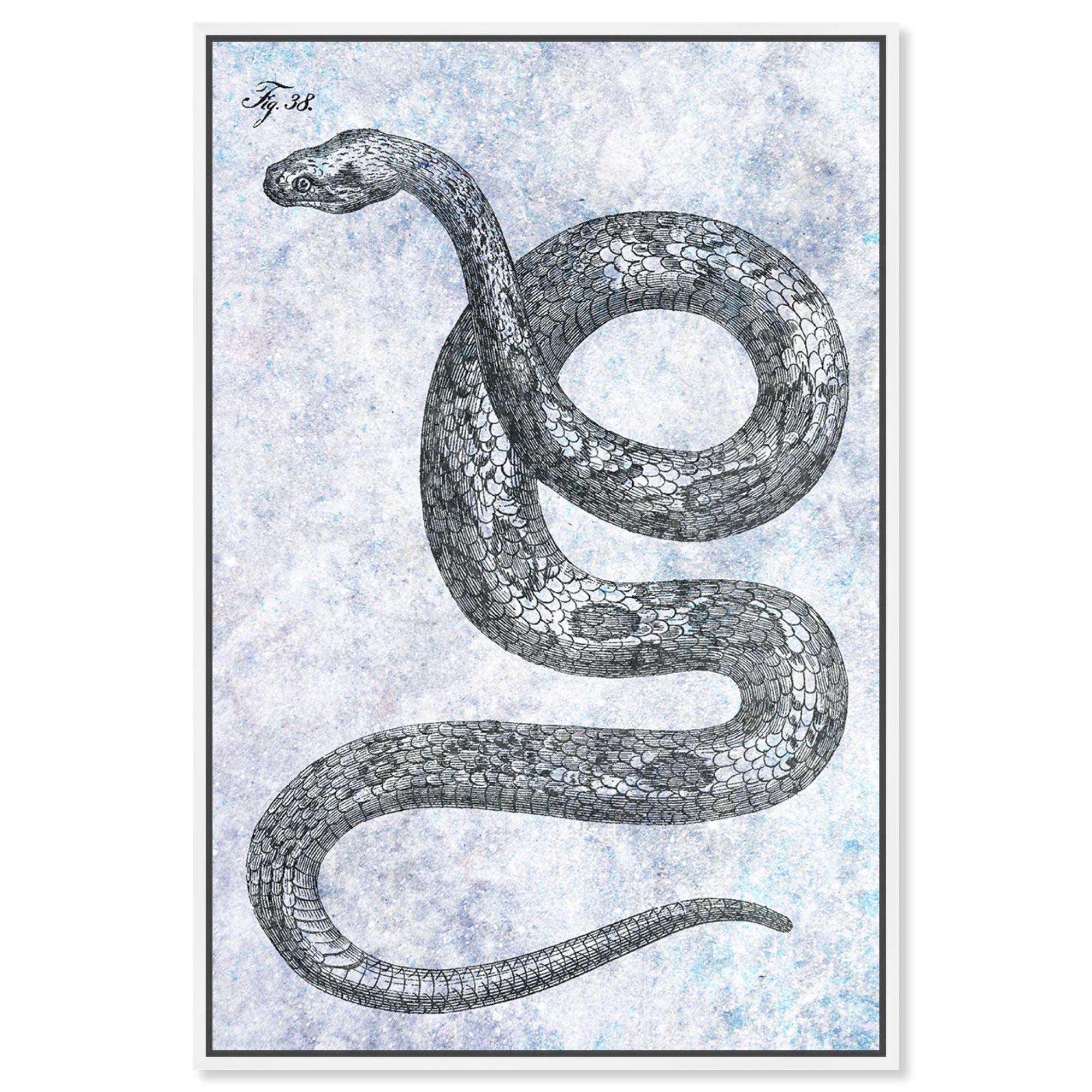 Single Snake Wall Art Framed Canvas Print - Zoo & Wild Animals Home Décor - 20x30 Inches - Perfect for Living Room, Bedroom or Office Decoration